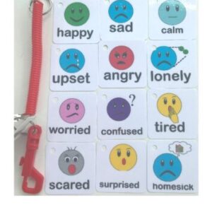Emoji Feelings Keyring