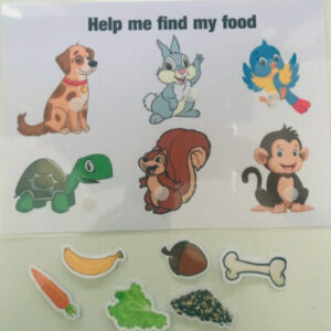Help Me Find My Food
