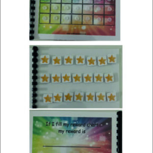 Portable Reward Chart