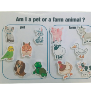 Am I a pet or farm animal ?