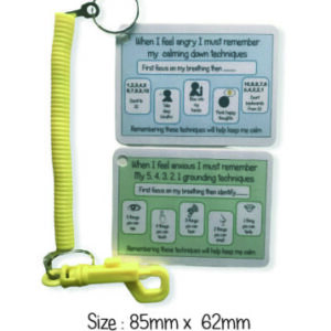 Grounding Tech. & Angry Tech. Keyring