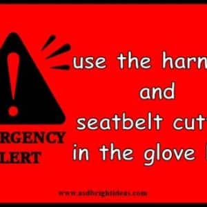 Emergency Alert sign A6